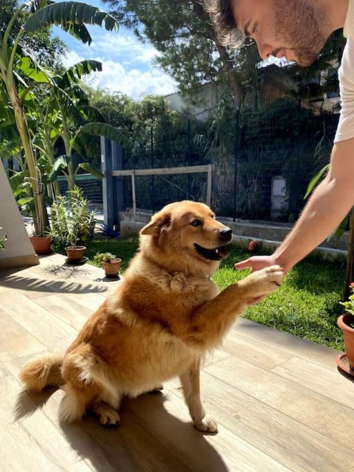 Casa Woow Διαμέρισμα Carini Εξωτερικό φωτογραφία