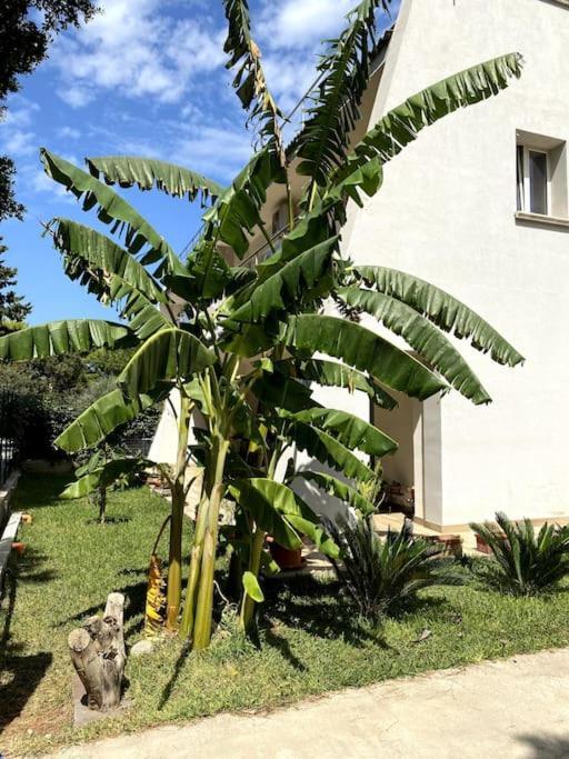 Casa Woow Διαμέρισμα Carini Εξωτερικό φωτογραφία